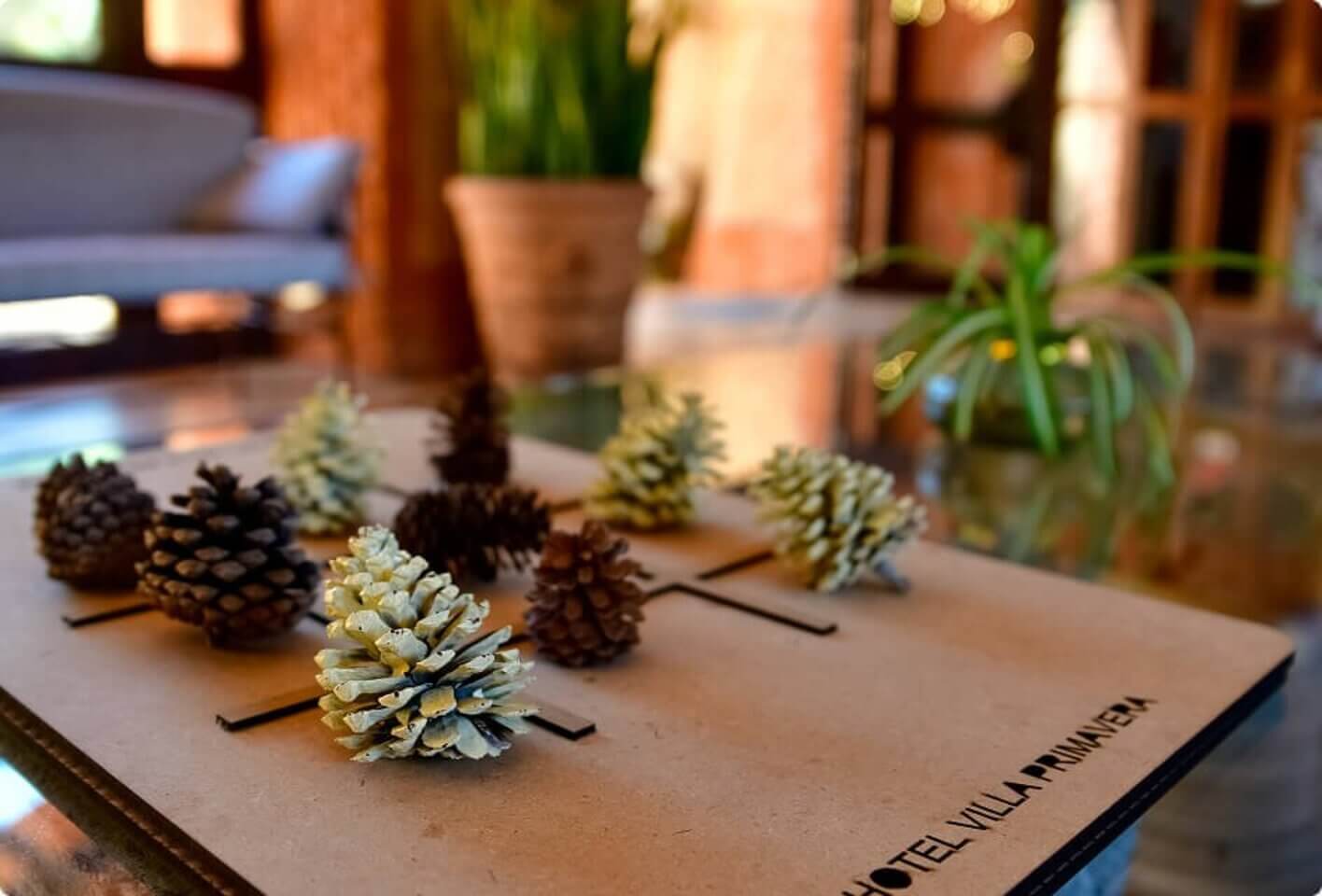 IMAGEN2_NOSOTROS_HOTELPRIMAVERA