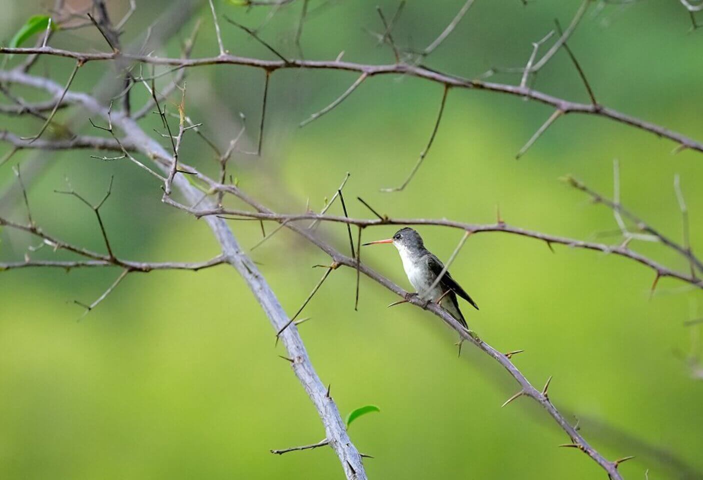 IMAGEN3_NOSOTROS_HOTELPRIMAVERA