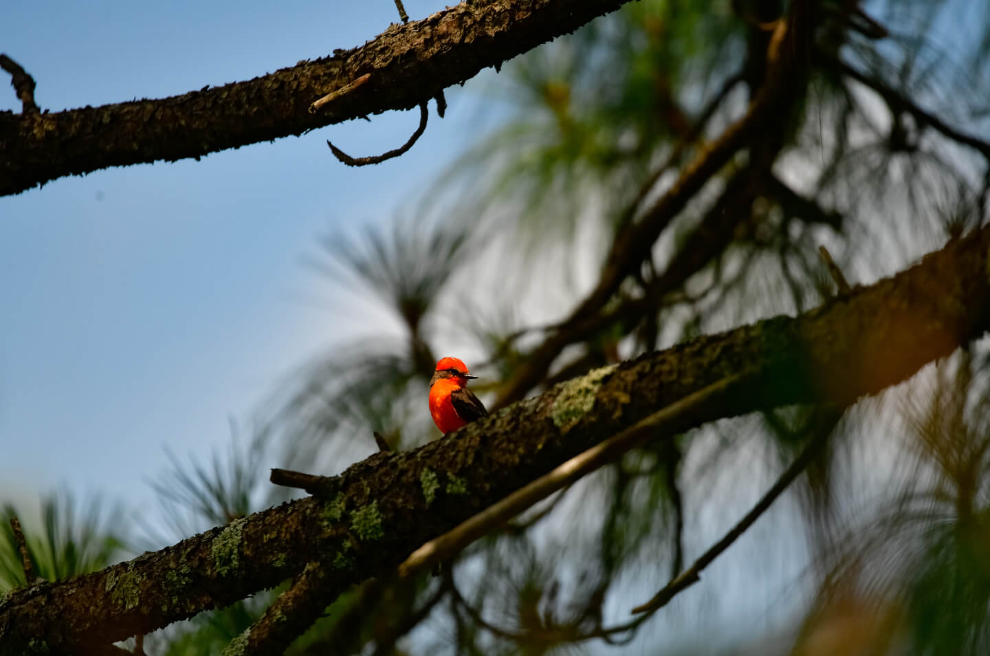 SLIDE1_NOSOTROS_HOTELPRIMAVERA-3